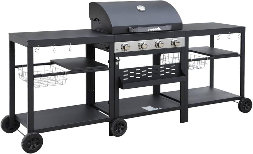 Test du barbecue 4 brûleurs sweeek DANGLARS acier noir